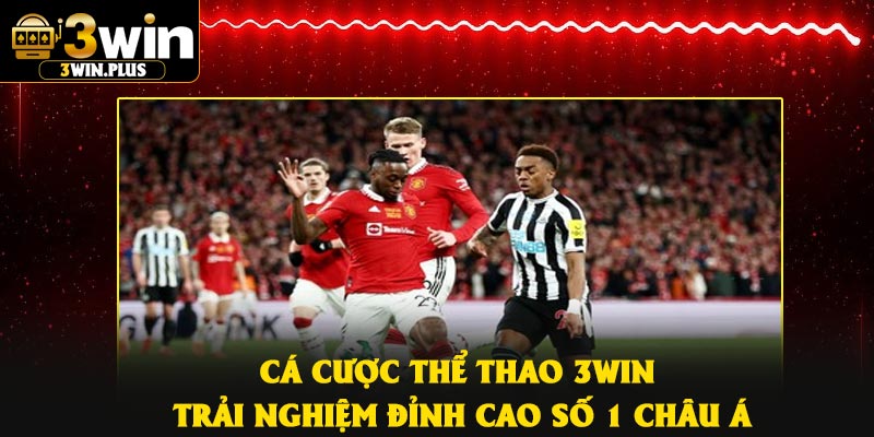 Cá Cược Thể Thao 3Win – Trải Nghiệm Đỉnh Cao Số 1 Châu Á