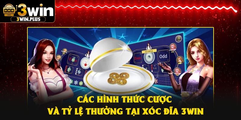 Các hình thức cược và tỷ lệ thưởng tại xóc đĩa 3Win