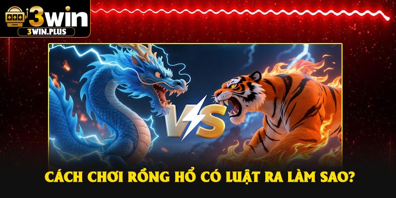 Cách chơi Rồng Hổ có luật ra làm sao?