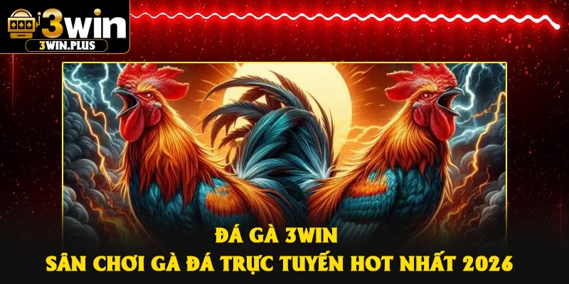 Đá Gà 3Win – Sân Chơi Gà Đá Trực Tuyến Hot Nhất 2026