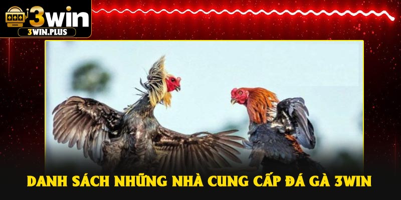 Danh sách những nhà cung cấp đá gà 3Win