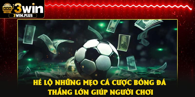 Hé lộ những mẹo cá cược bóng đá thắng lớn giúp người chơi