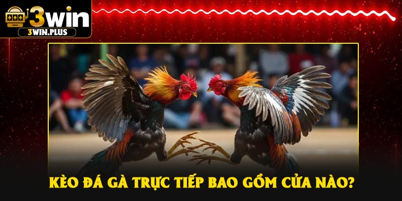 Kèo đá gà trực tiếp bao gồm cửa nào?