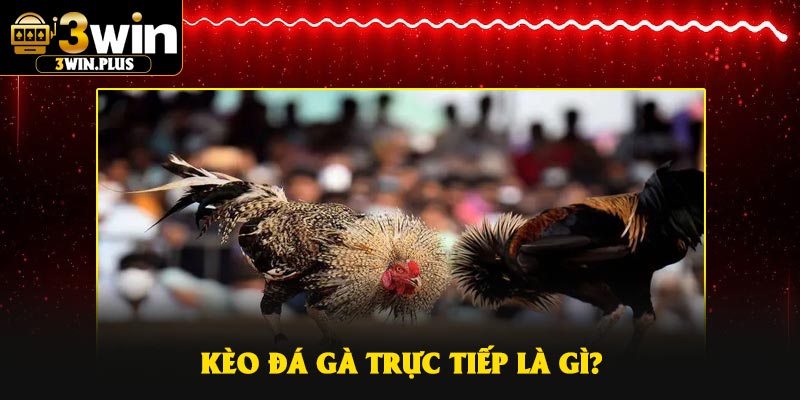 Kèo đá gà trực tiếp là gì?