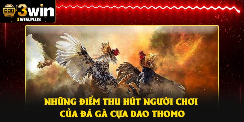 Những điểm thu hút người chơi của đá gà cựa dao thomo