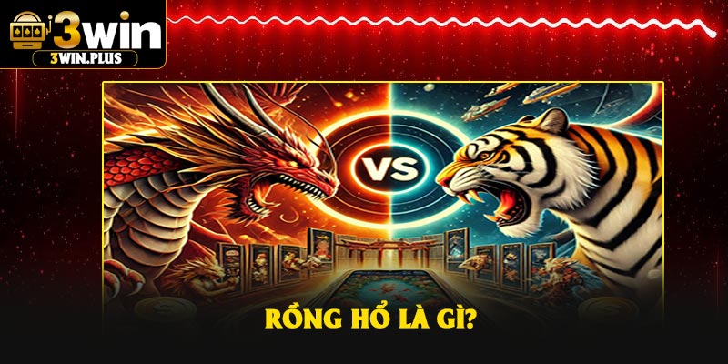 Rồng Hổ là gì?