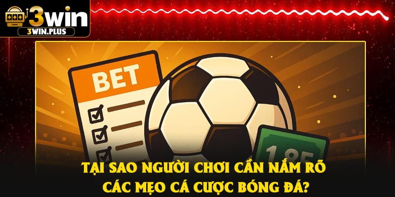 Tại sao người chơi cần nắm rõ các mẹo cá cược bóng đá?