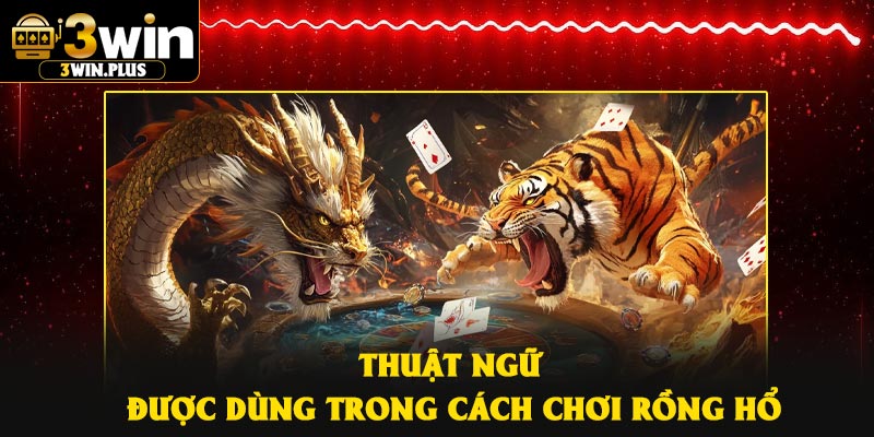 Thuật ngữ được dùng trong cách chơi Rồng Hổ