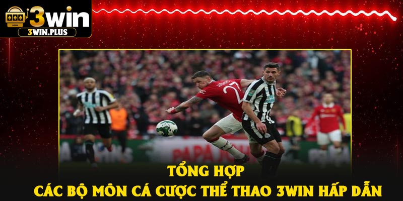 Tổng hợp các bộ môn cá cược thể thao 3Win hấp dẫn