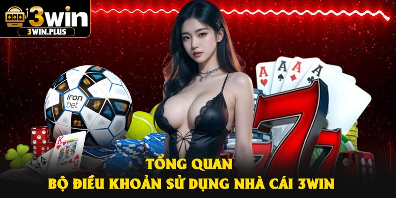 Tổng quan bộ điều khoản sử dụng nhà cái 3Win